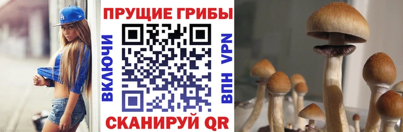 Галлюциногенные грибы мухоморы  магазин  наркотиков  ссылка на мегу онион  Арамиль 