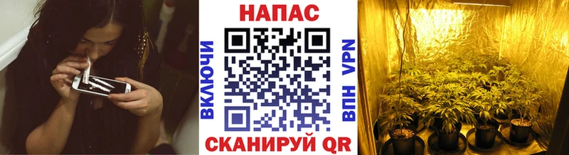 Конопля White Widow  Арамиль 